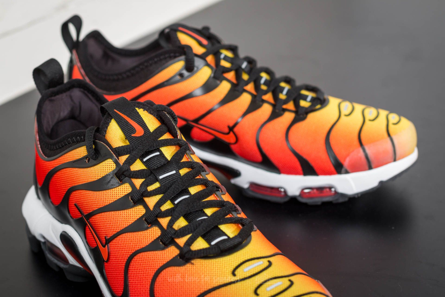 tn requin orange